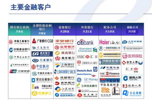 重慶軟件開(kāi)發(fā)行業(yè)洞察 機(jī)遇、挑戰(zhàn)與發(fā)展趨勢(shì)